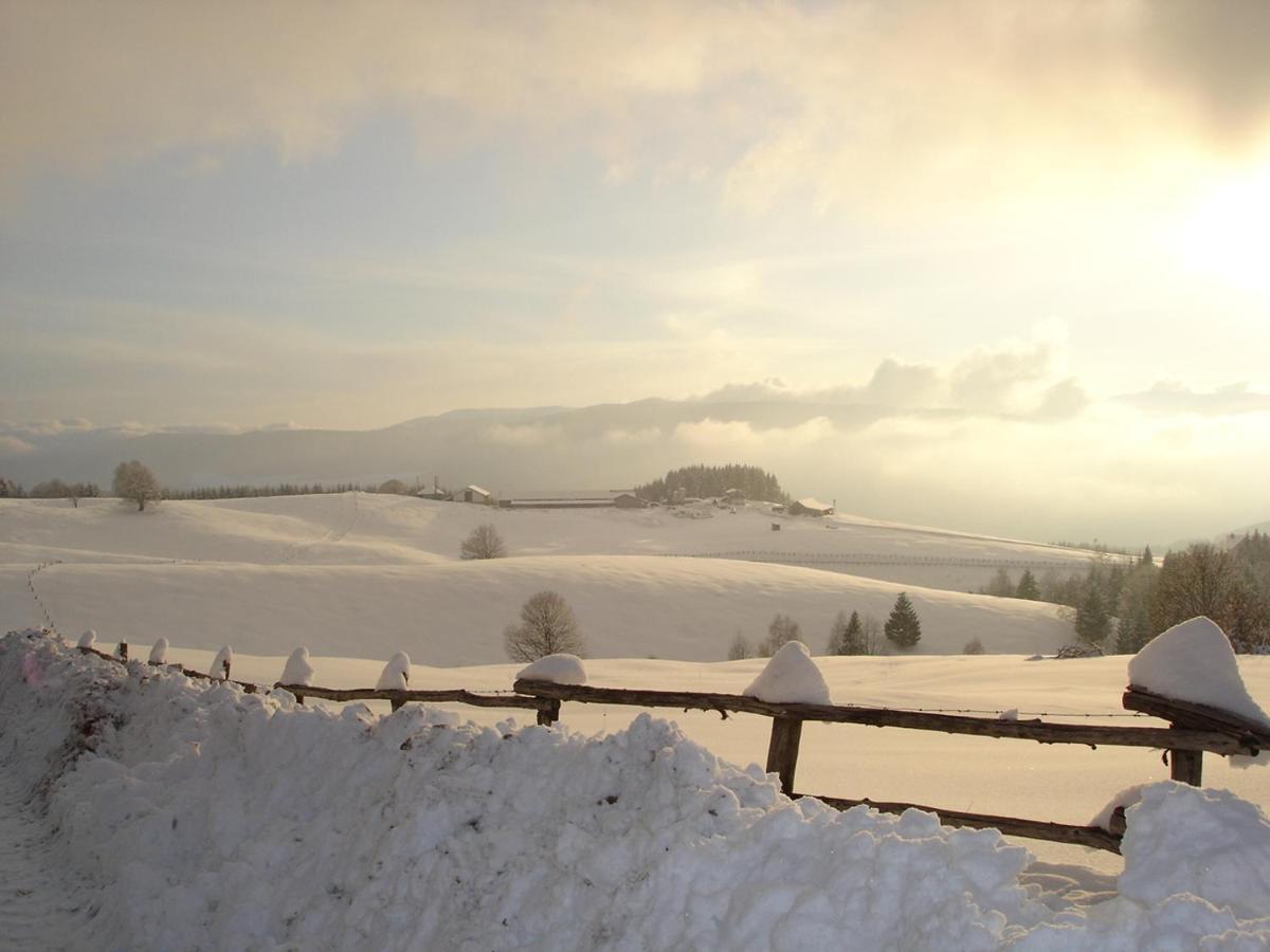 da C I S A Bed & Breakfast Tambre d'Alpago Bagian luar foto