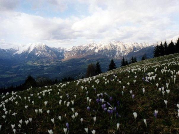 da C I S A Bed & Breakfast Tambre d'Alpago Bagian luar foto
