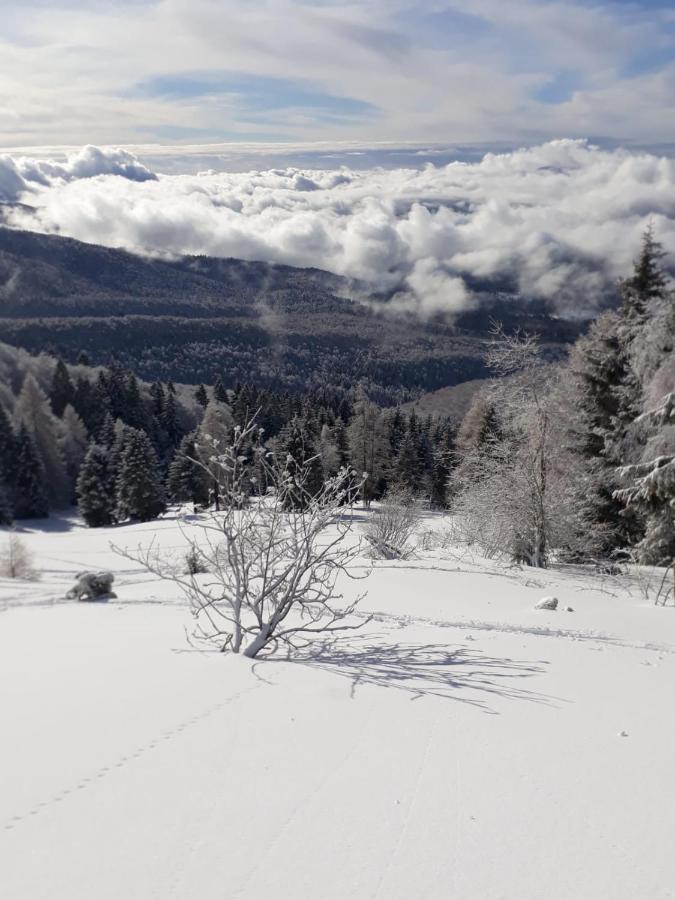 da C I S A Bed & Breakfast Tambre d'Alpago Bagian luar foto