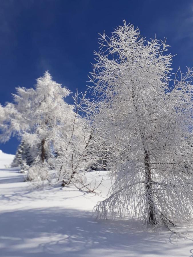 da C I S A Bed & Breakfast Tambre d'Alpago Bagian luar foto
