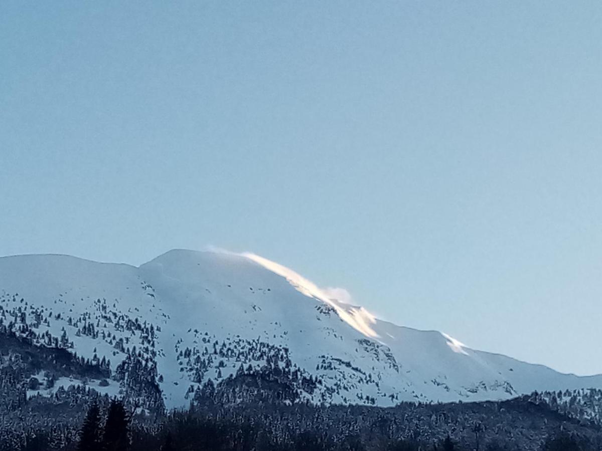 da C I S A Bed & Breakfast Tambre d'Alpago Bagian luar foto